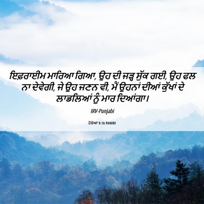 Picture 06 - ਹੋਸ਼ੇਆ 9:16 PANIRV - ਇਫ਼ਰਾਈਮ ਮਾਰਿਆ ਗਿਆ, - Bible Verse Picture