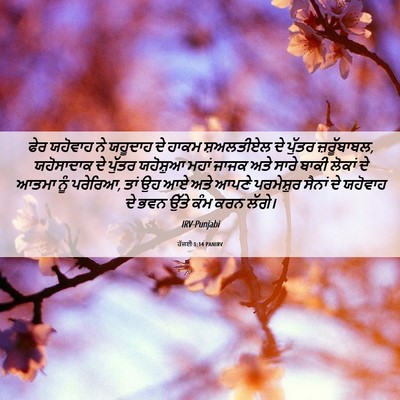 Picture 06 - ਹੱਜਈ 1:14 PANIRV - ਫੇਰ ਯਹੋਵਾਹ ਨੇ - Bible Verse Picture