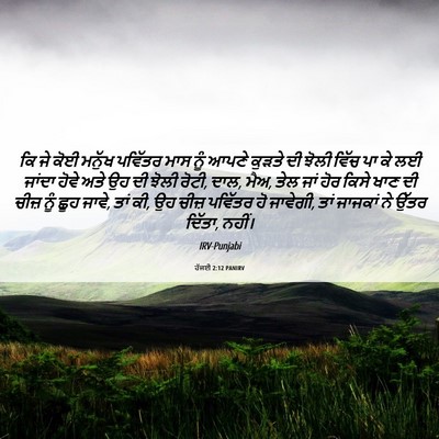 Picture 06 - ਹੱਜਈ 2:12 PANIRV - ਕਿ ਜੇ ਕੋਈ ਮਨੁੱਖ - Bible Verse Picture