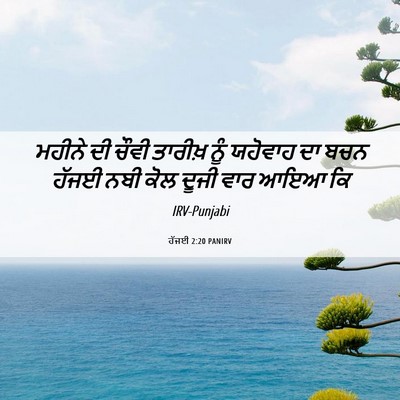 Picture 06 - ਹੱਜਈ 2:20 PANIRV - ਮਹੀਨੇ ਦੀ ਚੌਵੀ - Bible Verse Picture