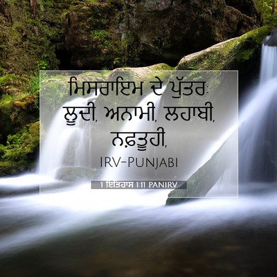 Picture 07 - 1 ਇਤਿਹਾਸ 1:11 PANIRV - ਮਿਸਰਾਇਮ ਦੇ ਪੁੱਤਰ: - Bible Verse Picture