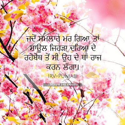 Picture 07 - 1 ਇਤਿਹਾਸ 1:48 PANIRV - ਜਦੋਂ ਸਮਲਾਹ ਮਰ ਗਿਆ, - Bible Verse Picture