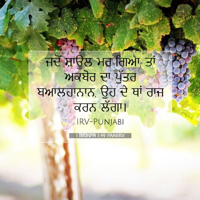 Picture 07 - 1 ਇਤਿਹਾਸ 1:49 PANIRV - ਜਦੋਂ ਸ਼ਾਊਲ ਮਰ ਗਿਆ, - Bible Verse Picture