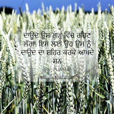 Picture 07 - 1 ਇਤਿਹਾਸ 11:7 PANIRV - ਦਾਊਦ ਉਸ ਗੜ੍ਹ ਵਿੱਚ - Bible Verse Picture