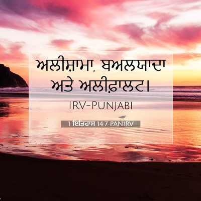 Picture 07 - 1 ਇਤਿਹਾਸ 14:7 PANIRV - ਅਲੀਸ਼ਾਮਾ, ਬਅਲਯਾਦਾ - Bible Verse Picture