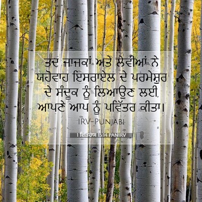 Picture 07 - 1 ਇਤਿਹਾਸ 15:14 PANIRV - ਤਦ ਜਾਜਕਾਂ ਅਤੇ - Bible Verse Picture