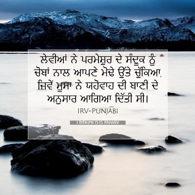 Picture 07 - 1 ਇਤਿਹਾਸ 15:15 PANIRV - ਲੇਵੀਆਂ ਨੇ - Bible Verse Picture