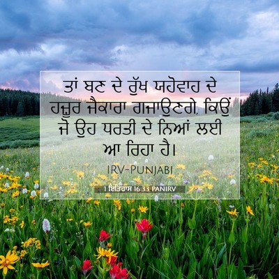 Picture 07 - 1 ਇਤਿਹਾਸ 16:33 PANIRV - ਤਾਂ ਬਣ ਦੇ ਰੁੱਖ - Bible Verse Picture