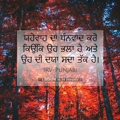 Picture 07 - 1 ਇਤਿਹਾਸ 16:34 PANIRV - ਯਹੋਵਾਹ ਦਾ ਧੰਨਵਾਦ - Bible Verse Picture