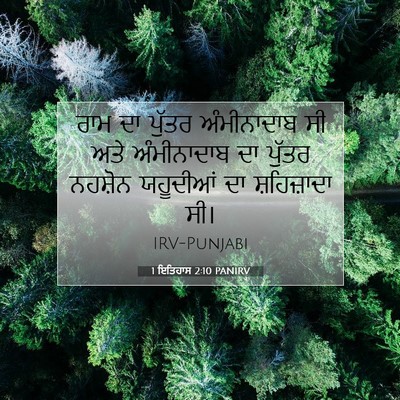 Picture 07 - 1 ਇਤਿਹਾਸ 2:10 PANIRV - ਰਾਮ ਦਾ ਪੁੱਤਰ - Bible Verse Picture