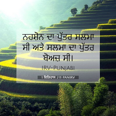 Picture 07 - 1 ਇਤਿਹਾਸ 2:11 PANIRV - ਨਹਸ਼ੋਨ ਦਾ ਪੁੱਤਰ - Bible Verse Picture
