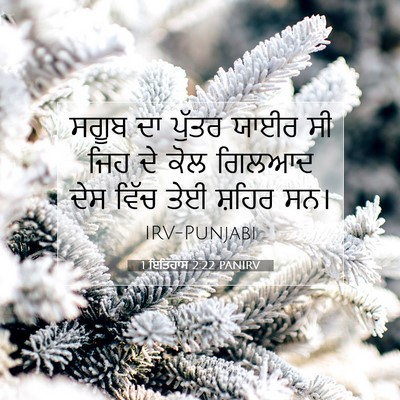 Picture 07 - 1 ਇਤਿਹਾਸ 2:22 PANIRV - ਸਗੂਬ ਦਾ ਪੁੱਤਰ ਯਾਈਰ - Bible Verse Picture