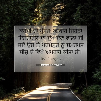 Picture 07 - 1 ਇਤਿਹਾਸ 2:7 PANIRV - ਕਰਮੀ ਦਾ ਪੁੱਤਰ: ਆਕਾਰ - Bible Verse Picture