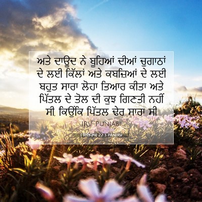 Picture 07 - 1 ਇਤਿਹਾਸ 22:3 PANIRV - ਅਤੇ ਦਾਊਦ ਨੇ ਬੂਹਿਆਂ - Bible Verse Picture