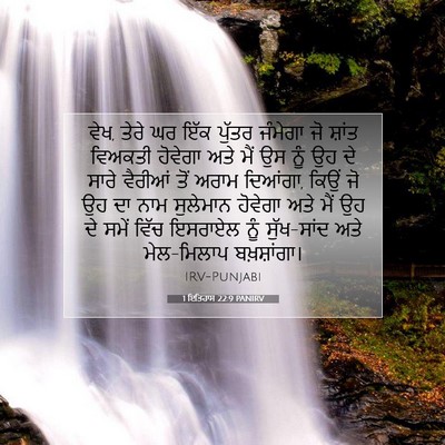 Picture 07 - 1 ਇਤਿਹਾਸ 22:9 PANIRV - ਵੇਖ, ਤੇਰੇ ਘਰ ਇੱਕ - Bible Verse Picture