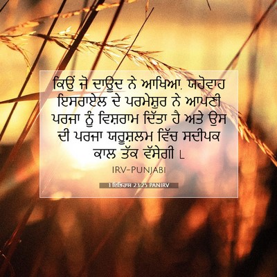 Picture 07 - 1 ਇਤਿਹਾਸ 23:25 PANIRV - ਕਿਉਂ ਜੋ ਦਾਊਦ ਨੇ - Bible Verse Picture