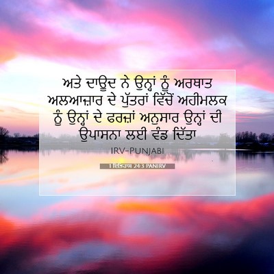 Picture 07 - 1 ਇਤਿਹਾਸ 24:3 PANIRV - ਅਤੇ ਦਾਊਦ ਨੇ ਉਨ੍ਹਾਂ - Bible Verse Picture