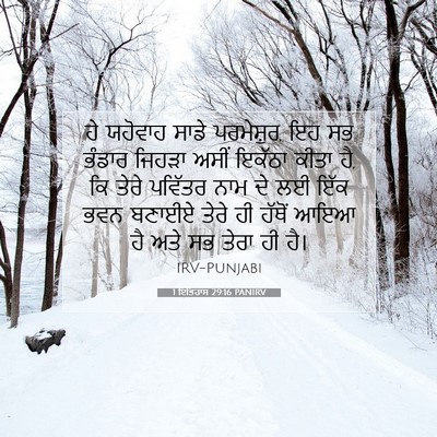 Picture 07 - 1 ਇਤਿਹਾਸ 29:16 PANIRV - ਹੇ ਯਹੋਵਾਹ ਸਾਡੇ - Bible Verse Picture