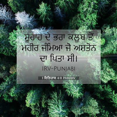 Picture 07 - 1 ਇਤਿਹਾਸ 4:11 PANIRV - ਸ਼ੂਹਾਹ ਦੇ ਭਰਾ ਕਲੂਬ - Bible Verse Picture