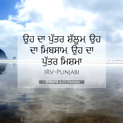 Picture 07 - 1 ਇਤਿਹਾਸ 4:25 PANIRV - ਉਹ ਦਾ ਪੁੱਤਰ ਸ਼ੱਲੂਮ, - Bible Verse Picture