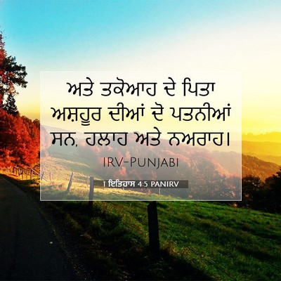 Picture 07 - 1 ਇਤਿਹਾਸ 4:5 PANIRV - ਅਤੇ ਤਕੋਆਹ ਦੇ ਪਿਤਾ - Bible Verse Picture