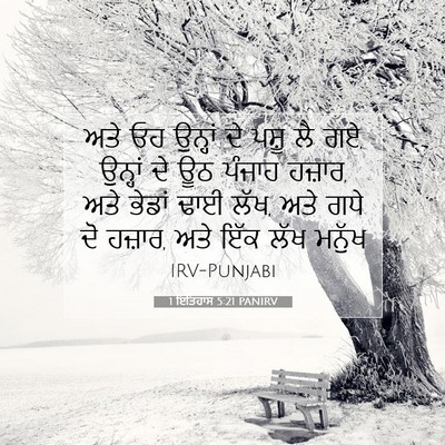 Picture 07 - 1 ਇਤਿਹਾਸ 5:21 PANIRV - ਅਤੇ ਓਹ ਉਨ੍ਹਾਂ ਦੇ - Bible Verse Picture