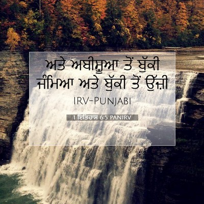Picture 07 - 1 ਇਤਿਹਾਸ 6:5 PANIRV - ਅਤੇ ਅਬੀਸ਼ੂਆ ਤੋਂ - Bible Verse Picture