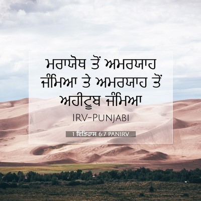 Picture 07 - 1 ਇਤਿਹਾਸ 6:7 PANIRV - ਮਰਾਯੋਥ ਤੋਂ ਅਮਰਯਾਹ - Bible Verse Picture
