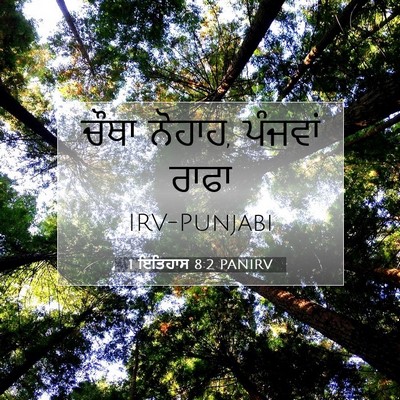 Picture 07 - 1 ਇਤਿਹਾਸ 8:2 PANIRV - ਚੌਥਾ ਨੋਹਾਹ, ਪੰਜਵਾਂ - Bible Verse Picture