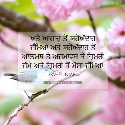 Picture 07 - 1 ਇਤਿਹਾਸ 8:36 PANIRV - ਅਤੇ ਆਹਾਜ਼ ਤੋਂ - Bible Verse Picture