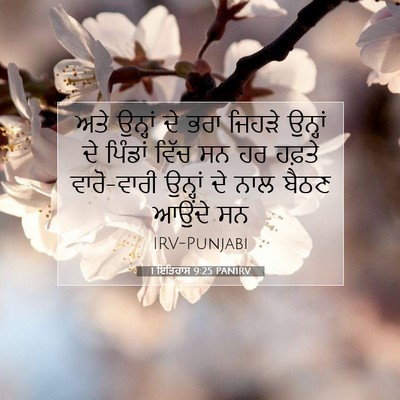 Picture 07 - 1 ਇਤਿਹਾਸ 9:25 PANIRV - ਅਤੇ ਉਨ੍ਹਾਂ ਦੇ ਭਰਾ - Bible Verse Picture