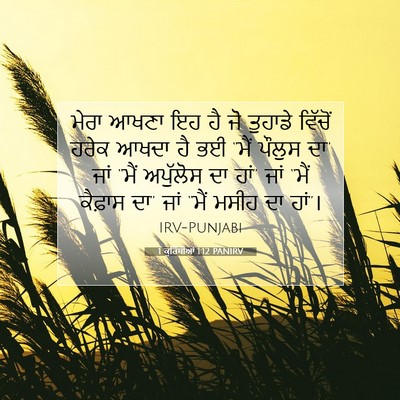 Picture 07 - 1 ਕੁਰਿੰਥੀਆਂ 1:12 PANIRV - ਮੇਰਾ ਆਖਣਾ ਇਹ ਹੈ ਜੋ - Bible Verse Picture