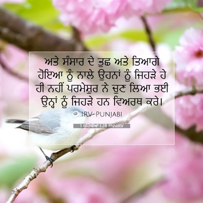 Picture 07 - 1 ਕੁਰਿੰਥੀਆਂ 1:28 PANIRV - ਅਤੇ ਸੰਸਾਰ ਦੇ ਤੁਛ - Bible Verse Picture