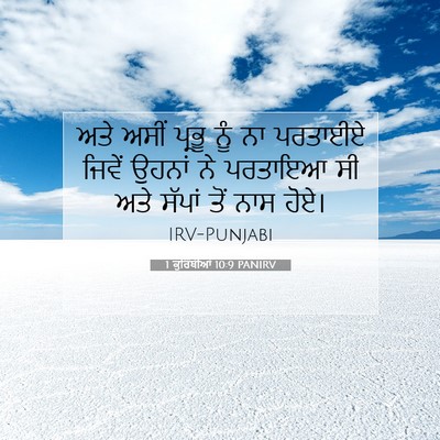 Picture 07 - 1 ਕੁਰਿੰਥੀਆਂ 10:9 PANIRV - ਅਤੇ ਅਸੀਂ ਪ੍ਰਭੂ ਨੂੰ - Bible Verse Picture