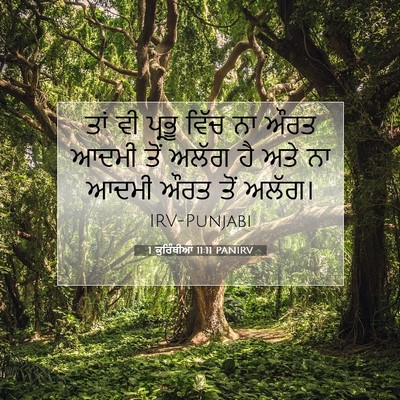 Picture 07 - 1 ਕੁਰਿੰਥੀਆਂ 11:11 PANIRV - ਤਾਂ ਵੀ ਪ੍ਰਭੂ ਵਿੱਚ - Bible Verse Picture