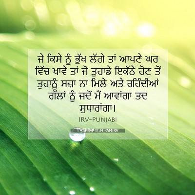 Picture 07 - 1 ਕੁਰਿੰਥੀਆਂ 11:34 PANIRV - ਜੇ ਕਿਸੇ ਨੂੰ ਭੁੱਖ - Bible Verse Picture