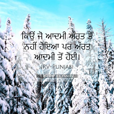 Picture 07 - 1 ਕੁਰਿੰਥੀਆਂ 11:8 PANIRV - ਕਿਉਂ ਜੋ ਆਦਮੀ ਔਰਤ - Bible Verse Picture