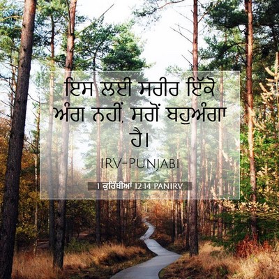 Picture 07 - 1 ਕੁਰਿੰਥੀਆਂ 12:14 PANIRV - ਇਸ ਲਈ ਸਰੀਰ ਇੱਕੋ ਅੰਗ - Bible Verse Picture