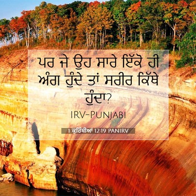 Picture 07 - 1 ਕੁਰਿੰਥੀਆਂ 12:19 PANIRV - ਪਰ ਜੇ ਉਹ ਸਾਰੇ ਇੱਕੋ - Bible Verse Picture