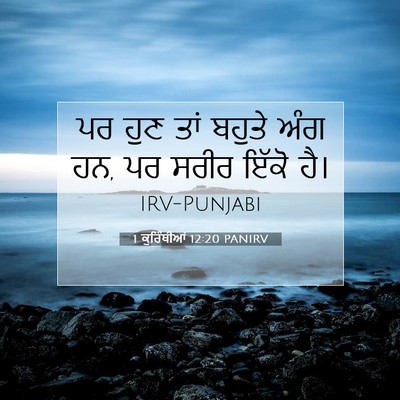 Picture 07 - 1 ਕੁਰਿੰਥੀਆਂ 12:20 PANIRV - ਪਰ ਹੁਣ ਤਾਂ ਬਹੁਤੇ - Bible Verse Picture