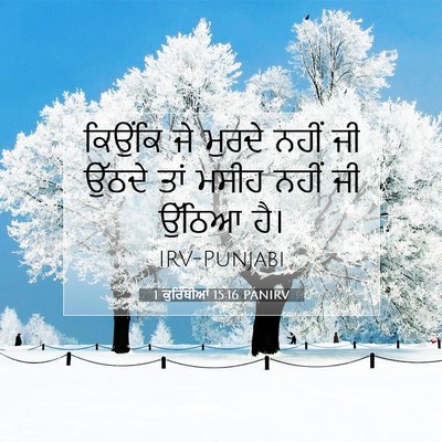 Picture 07 - 1 ਕੁਰਿੰਥੀਆਂ 15:16 PANIRV - ਕਿਉਂਕਿ ਜੇ ਮੁਰਦੇ - Bible Verse Picture