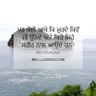 Picture 07 - 1 ਕੁਰਿੰਥੀਆਂ 15:35 PANIRV - ਪਰ ਕੋਈ ਆਖੇ ਕਿ ਮੁਰਦੇ - Bible Verse Picture