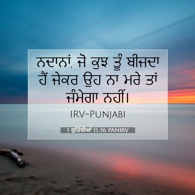 Picture 07 - 1 ਕੁਰਿੰਥੀਆਂ 15:36 PANIRV - ਨਦਾਨਾਂ, ਜੋ ਕੁਝ ਤੂੰ - Bible Verse Picture
