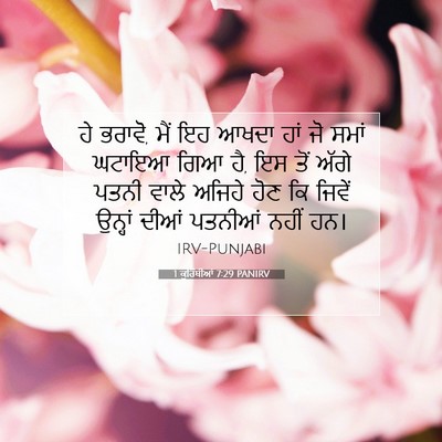 Picture 07 - 1 ਕੁਰਿੰਥੀਆਂ 7:29 PANIRV - ਹੇ ਭਰਾਵੋ, ਮੈਂ ਇਹ - Bible Verse Picture