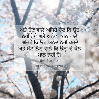 Picture 07 - 1 ਕੁਰਿੰਥੀਆਂ 7:30 PANIRV - ਅਤੇ ਰੋਣ ਵਾਲੇ ਅਜਿਹੇ - Bible Verse Picture