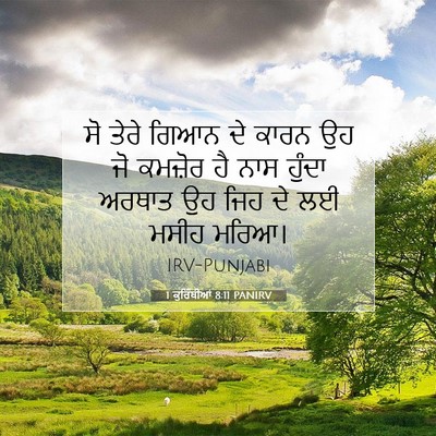 Picture 07 - 1 ਕੁਰਿੰਥੀਆਂ 8:11 PANIRV - ਸੋ ਤੇਰੇ ਗਿਆਨ ਦੇ - Bible Verse Picture