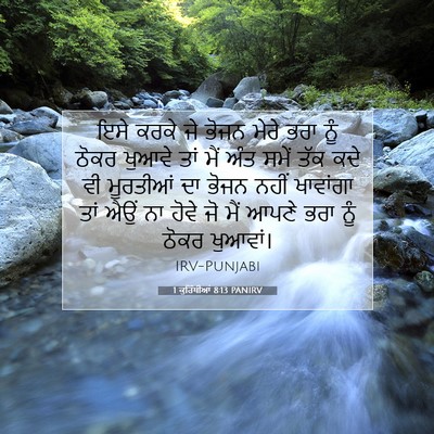 Picture 07 - 1 ਕੁਰਿੰਥੀਆਂ 8:13 PANIRV - ਇਸੇ ਕਰਕੇ ਜੇ ਭੋਜਨ - Bible Verse Picture