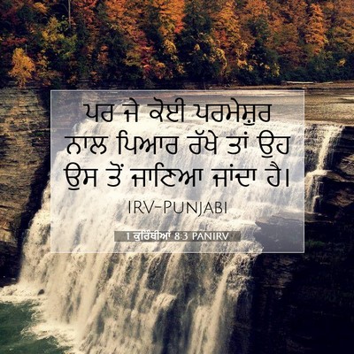 Picture 07 - 1 ਕੁਰਿੰਥੀਆਂ 8:3 PANIRV - ਪਰ ਜੇ ਕੋਈ ਪਰਮੇਸ਼ੁਰ - Bible Verse Picture