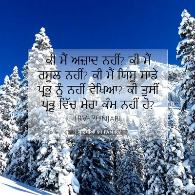 Picture 07 - 1 ਕੁਰਿੰਥੀਆਂ 9:1 PANIRV - ਕੀ ਮੈਂ ਅਜ਼ਾਦ ਨਹੀਂ? - Bible Verse Picture