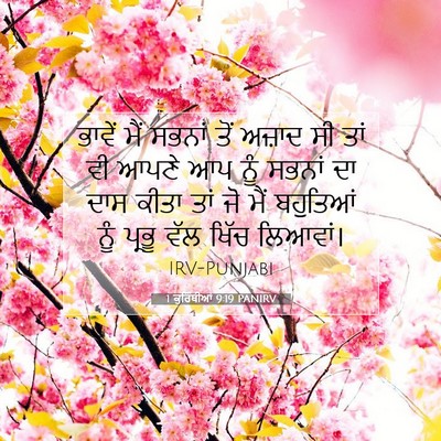 Picture 07 - 1 ਕੁਰਿੰਥੀਆਂ 9:19 PANIRV - ਭਾਵੇਂ ਮੈਂ ਸਭਨਾਂ - Bible Verse Picture